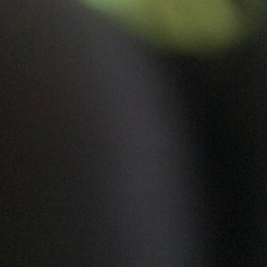 Meet your Posher, Isaac